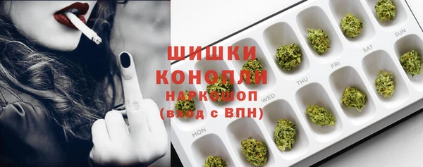 прущие грибы Зеленокумск