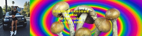 сатива Инта