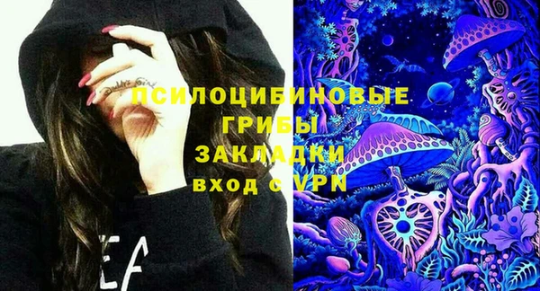 прущие грибы Зеленокумск