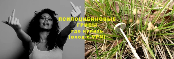 прущие грибы Зеленокумск