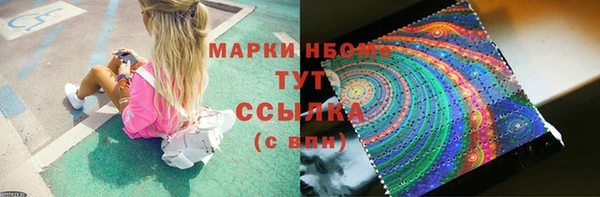 прущие грибы Зеленокумск