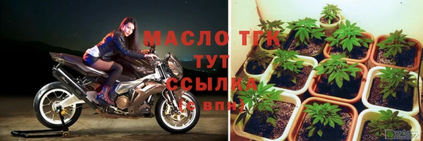 прущие грибы Щучье