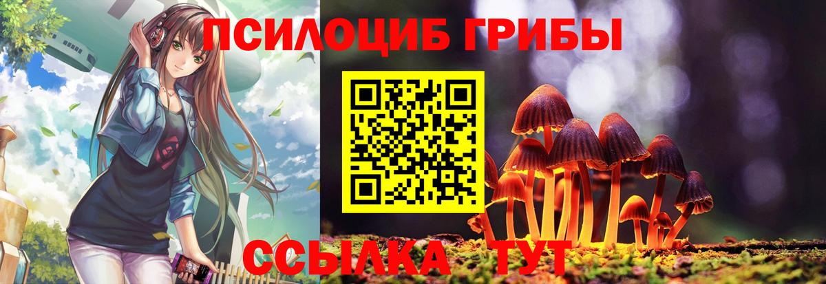 Галлюциногенные грибы мицелий Коркино