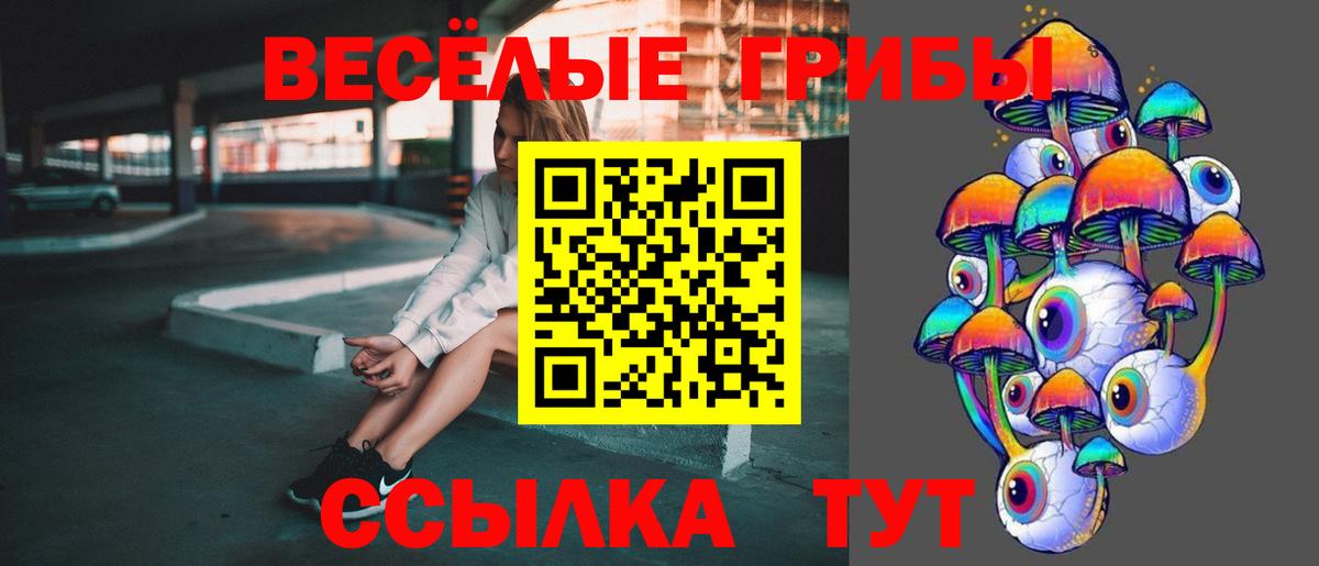 Коркино  наркотики  Вход с VPN  Галлюциногенные грибы Cubensis 